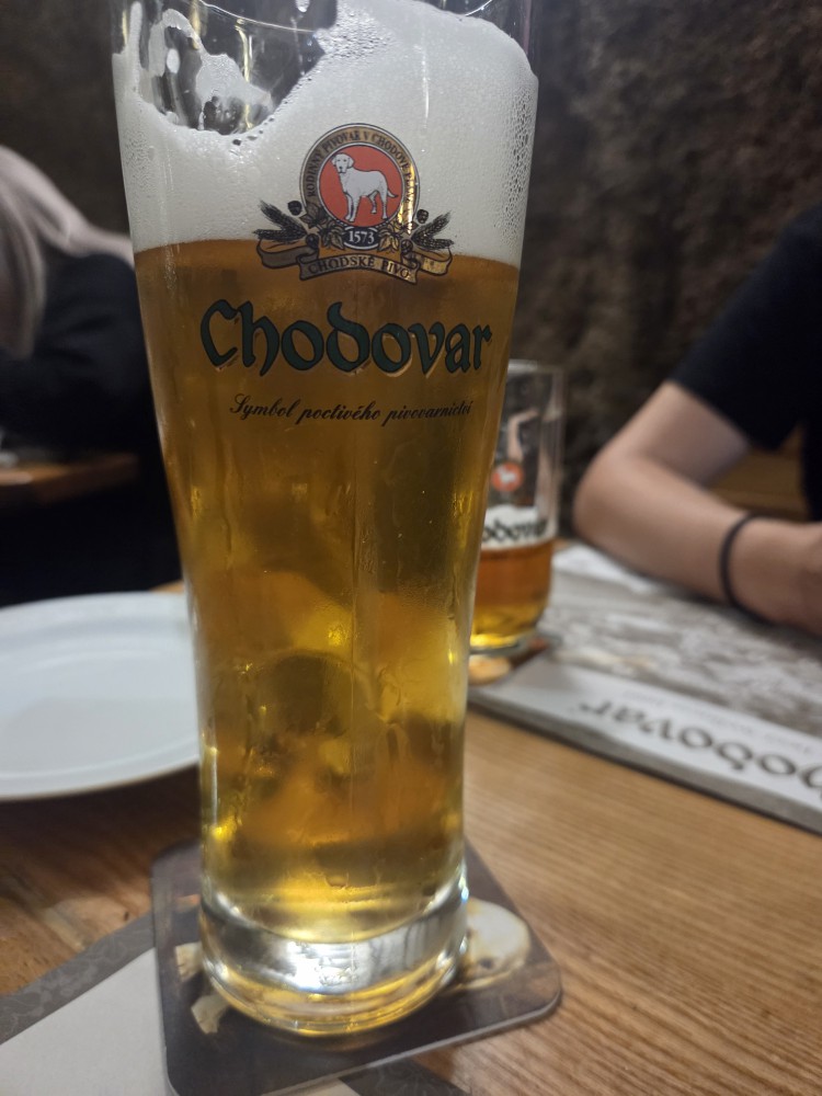 Zlatý ležák kvasnicový
